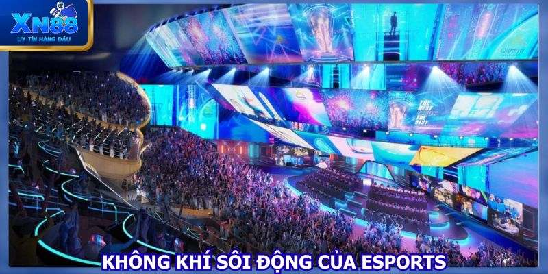 Hội viên yêu thích nhiều nhất tại thể thao XN88