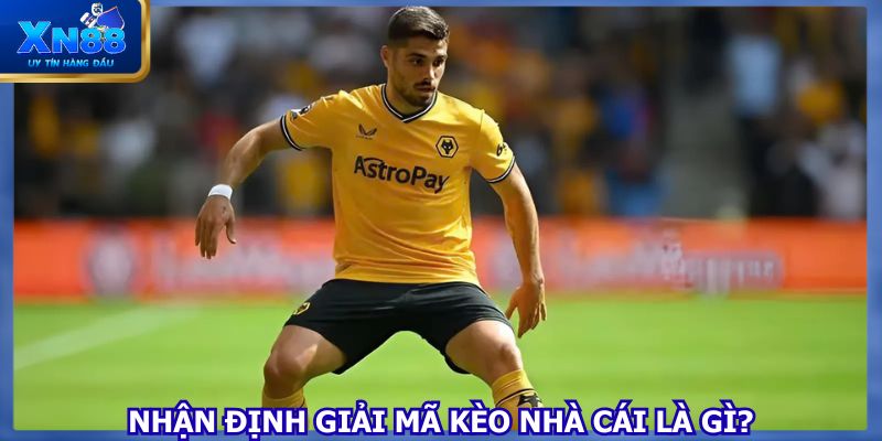 Việc nhận định giải mã kèo nhà cái là điều cần thiết